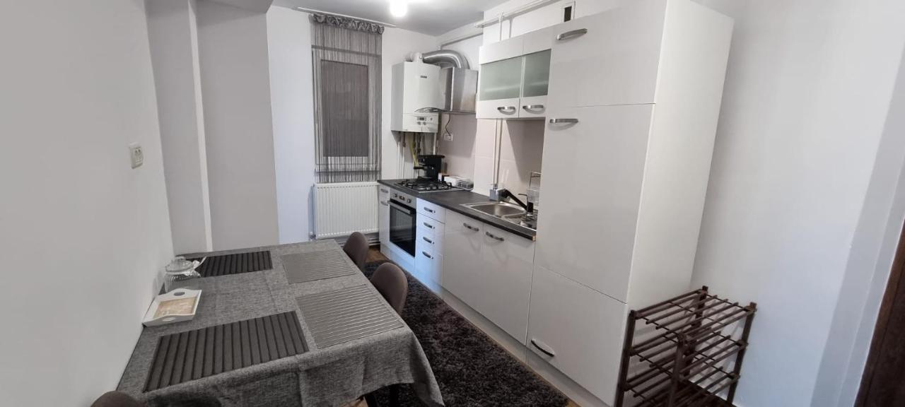 Dacia Apartment Timisoara Bagian luar foto