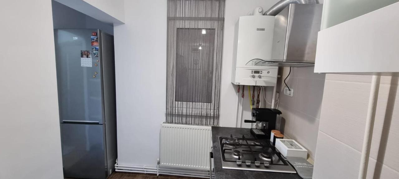 Dacia Apartment Timisoara Bagian luar foto