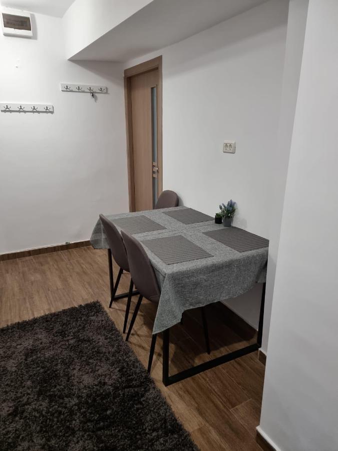 Dacia Apartment Timisoara Bagian luar foto