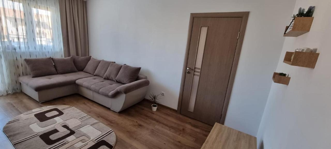 Dacia Apartment Timisoara Bagian luar foto