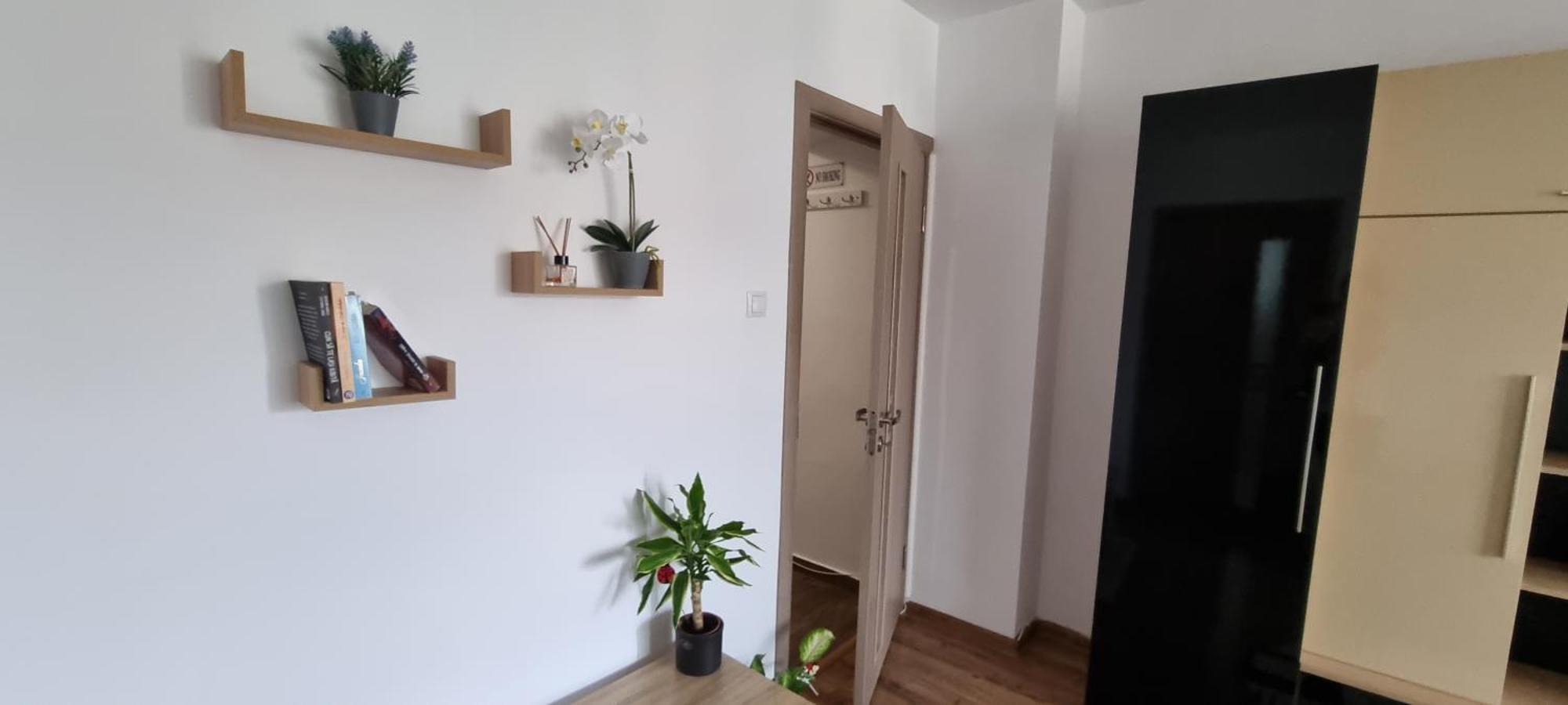 Dacia Apartment Timisoara Bagian luar foto